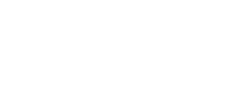Logo reading ‘Lee Chiropractic’ in white text