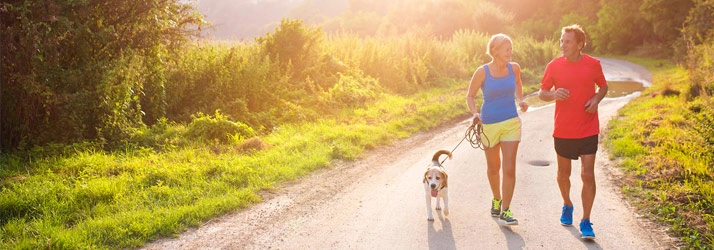 Two people jogging along a sunlit path